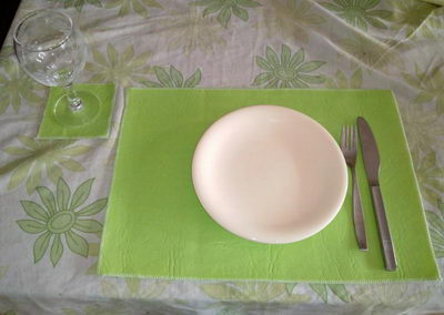Individuales de cuerina